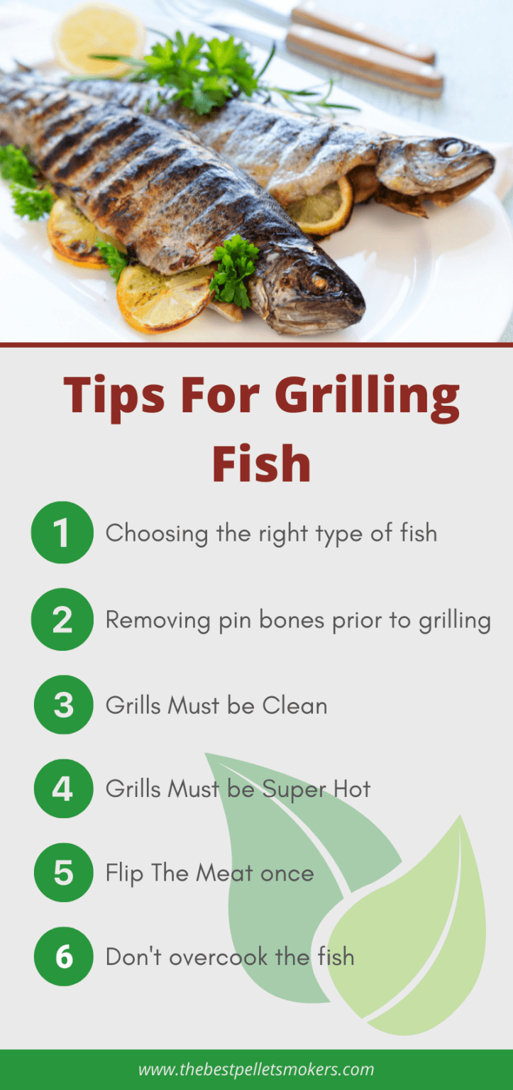 6 Tips For Grilling Fish Points You Must Take Care of