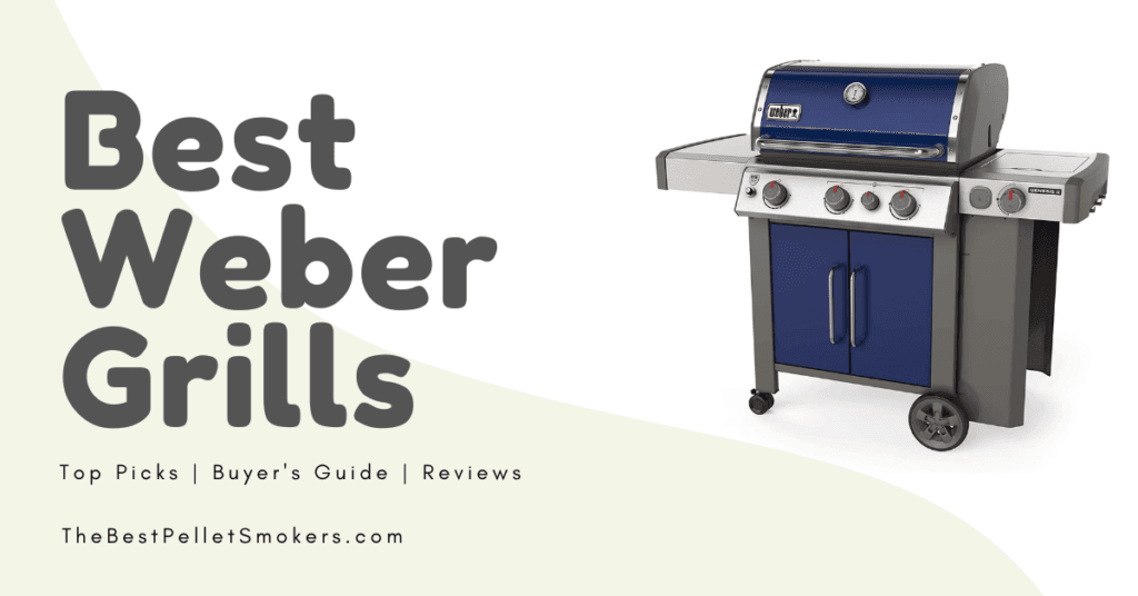 10 Best Weber Grills of 2024