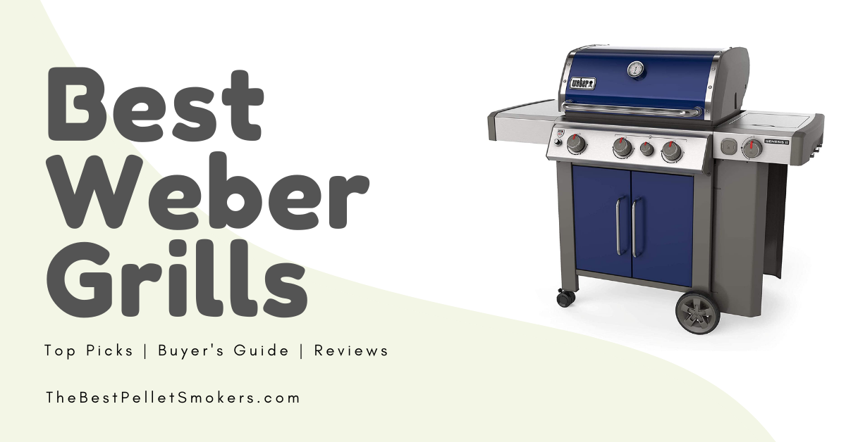 10 Best Weber Grills of 2024 Reviews & Buyer's Guide