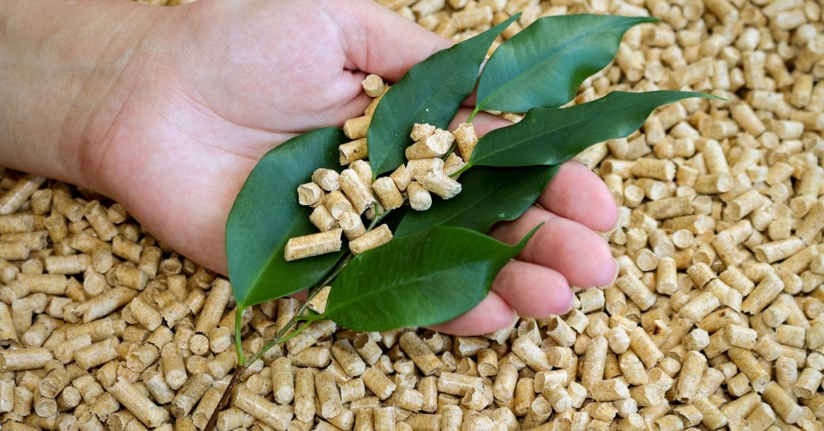 Which Pellets Produce the Most Smoke?