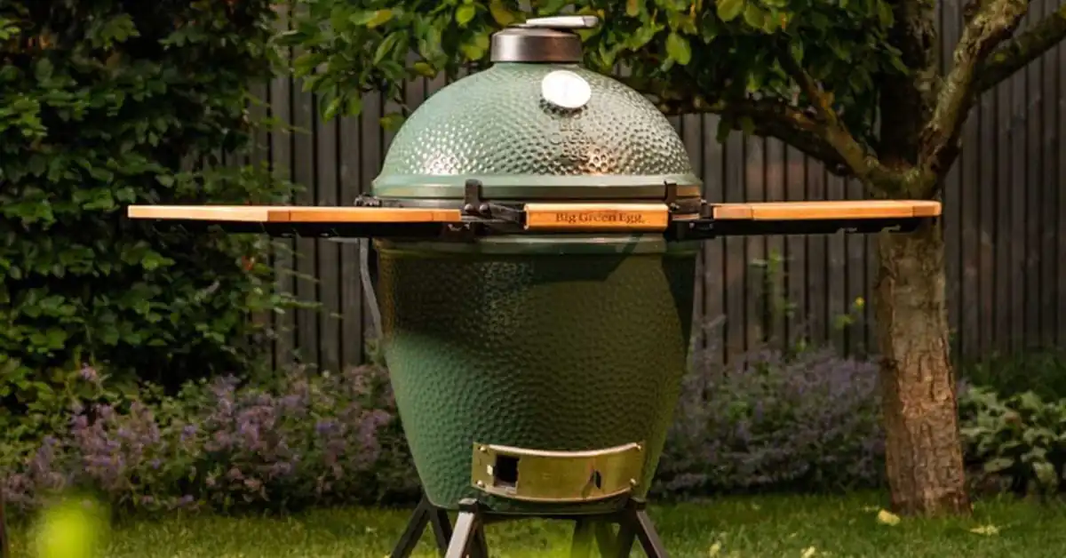 Traeger Vs Green Egg Who Make The Best Grills?